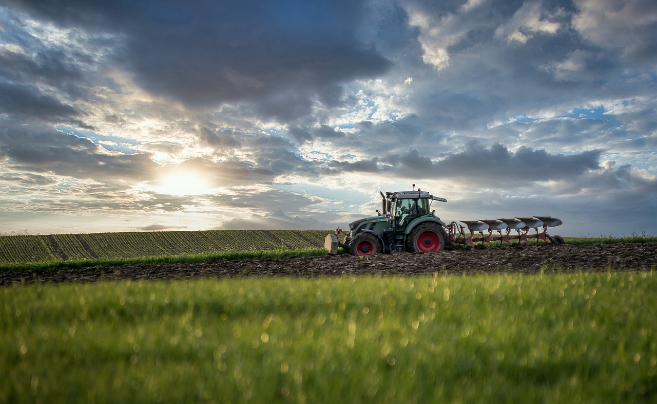 tractor, plough, agriculture-5753374.jpg